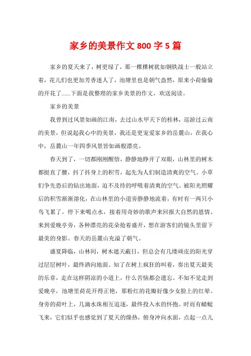 家乡的美景作文800字5篇