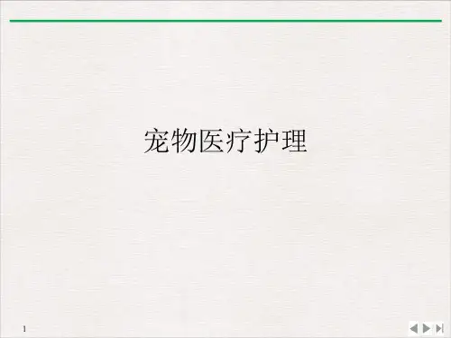 宠物医疗护理PPT课件