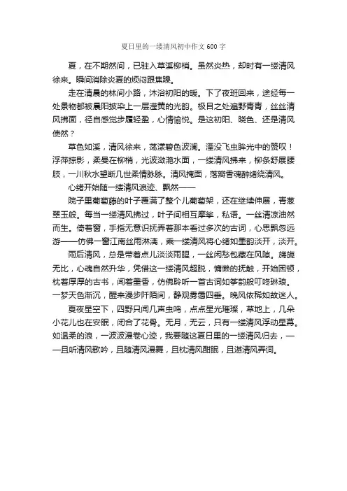 夏日里的一缕清风初中作文600字_描写夏天的作文_