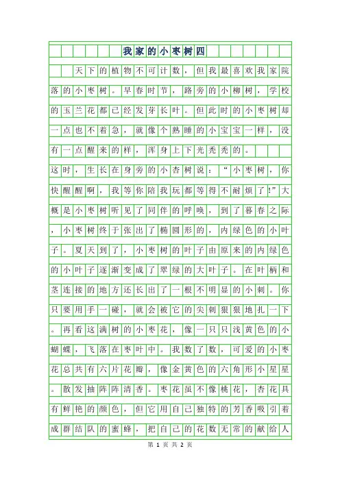 2019年我家的小枣树四年级作文