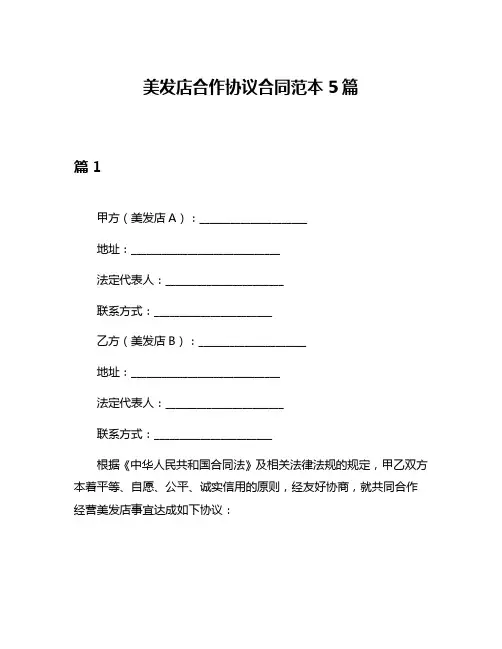 美发店合作协议合同范本5篇
