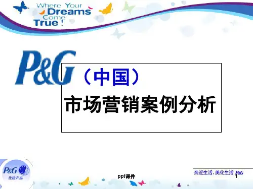 宝洁公司营销案例分析 ppt课件