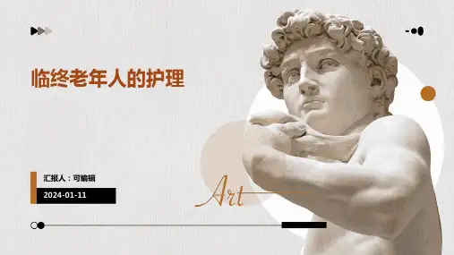 临终老年人的护理PPT