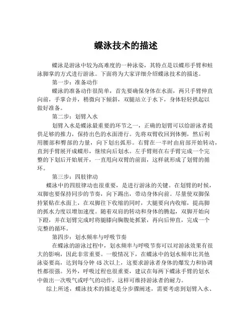 蝶泳技术的描述