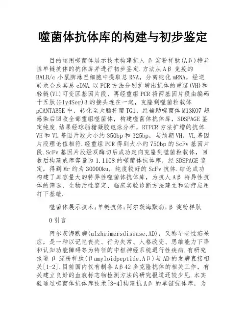 噬菌体抗体库的构建与初步鉴定