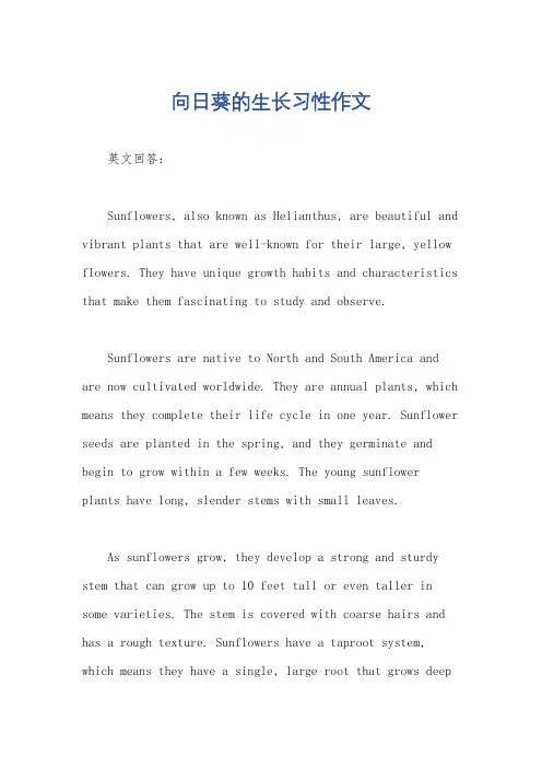 向日葵的生长习性作文