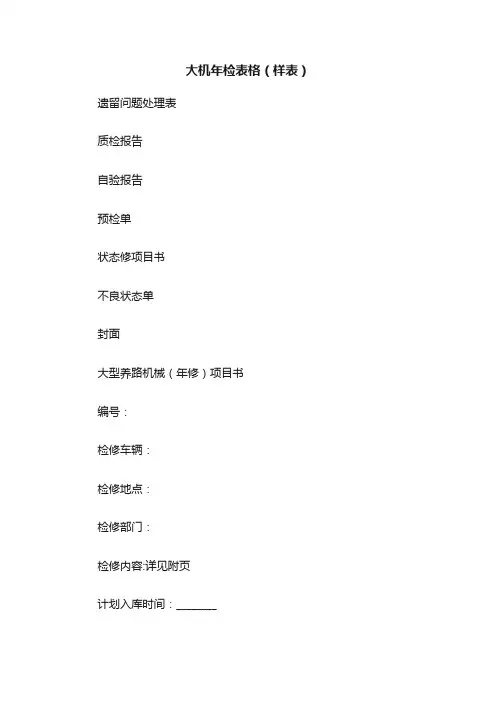 大机年检表格（样表）