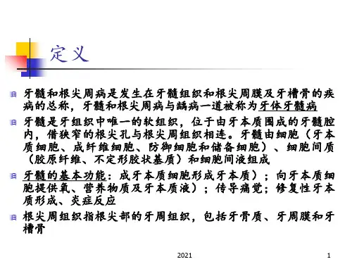 牙髓及根尖周病PPT课件