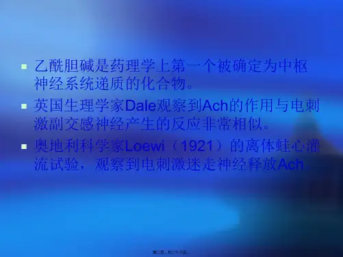 乙酰胆碱2
