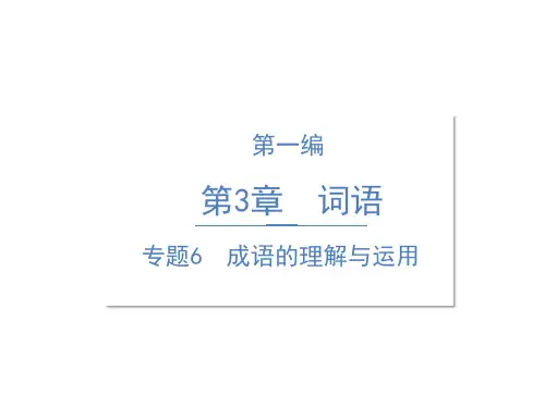 六年级语文专项课件-精讲：专题6 成语的理解与运用-人教部编版(19页PPT)