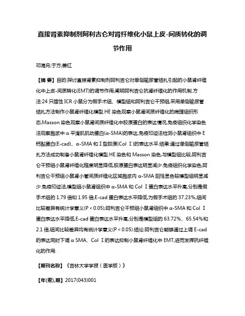 直接肾素抑制剂阿利吉仑对肾纤维化小鼠上皮-间质转化的调节作用