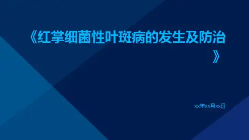 红掌细菌性叶斑病的发生及防治