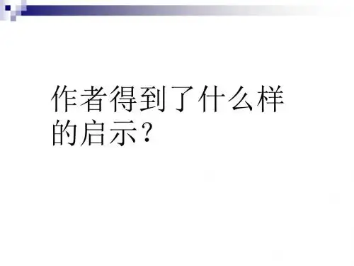 钓鱼的启示 PPT课件