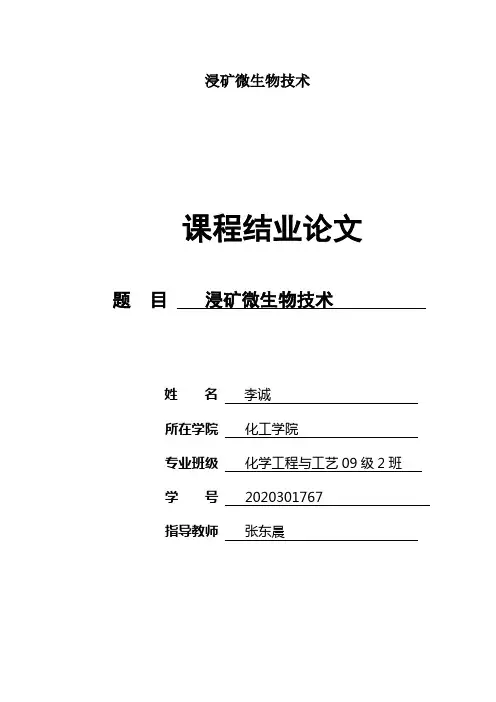 浸矿微生物技术