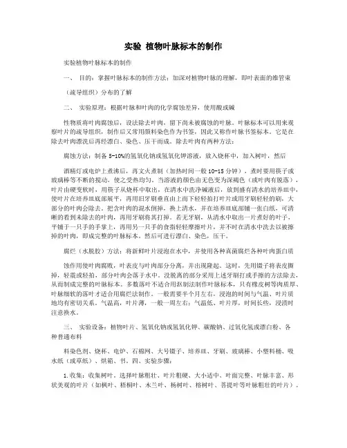 实验 植物叶脉标本的制作