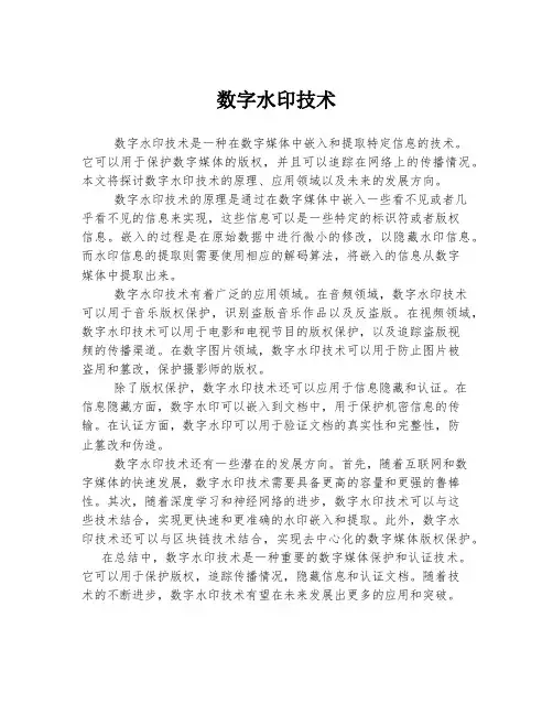 数字水印技术