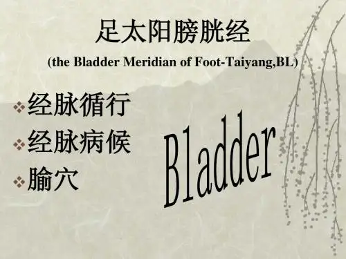 足太阳膀胱经(the Bladder Meridian of Foot-Taiyang,BL)
