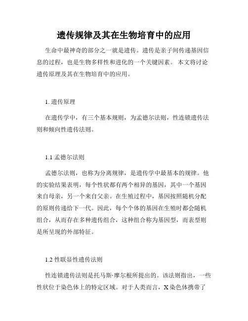 遗传规律及其在生物培育中的应用