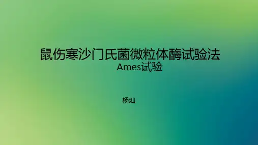 Ames试验