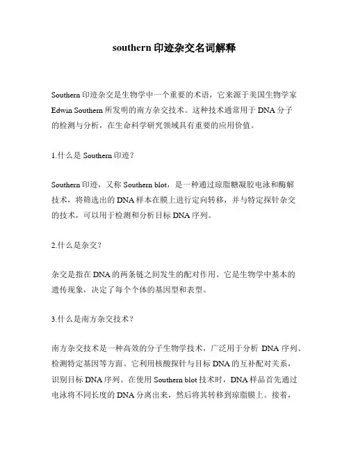 southern印迹杂交名词解释