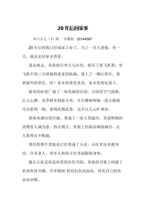许紫阳作品·《20年后回家乡》