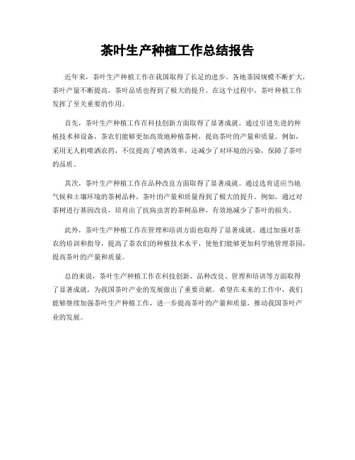 茶叶生产种植工作总结报告