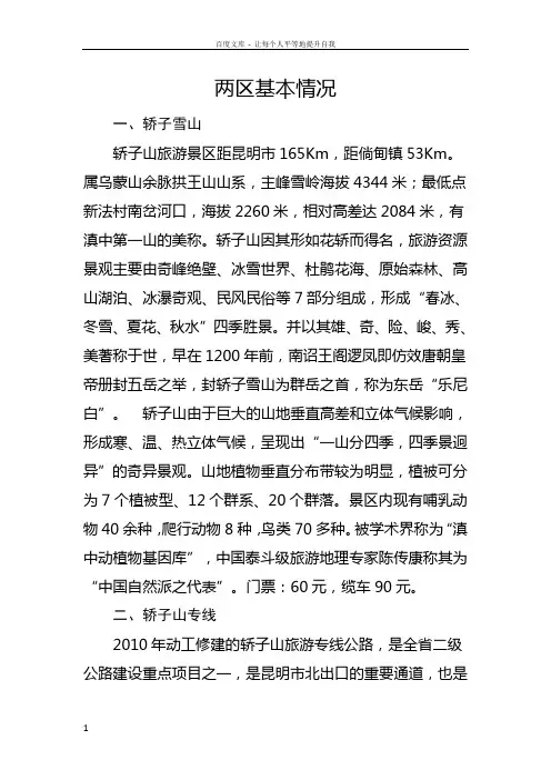 倘甸产业园区基本情况