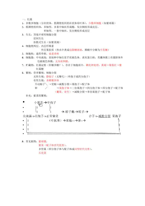 红藻