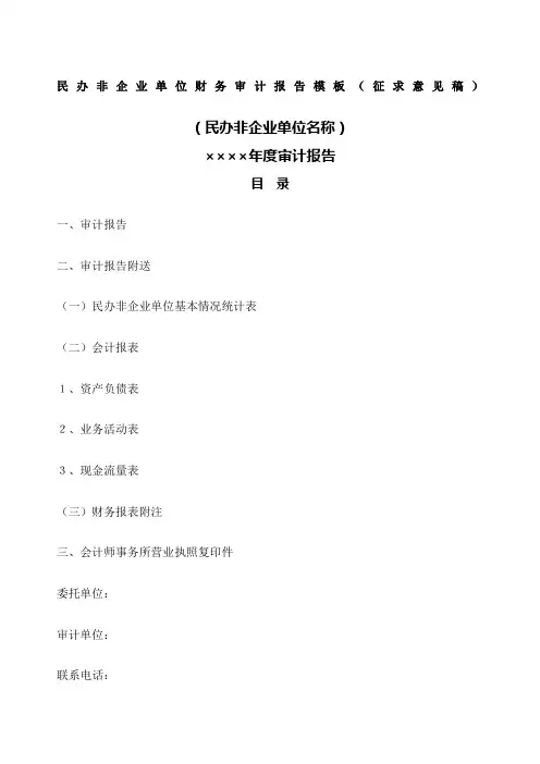 民办非企业单位财务审计报告 