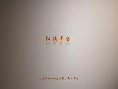 纵横国际介绍 PPT课件