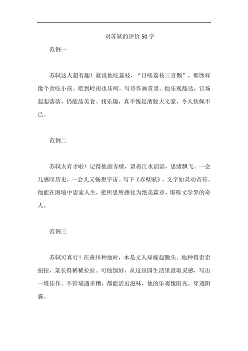 对苏轼的评价50字