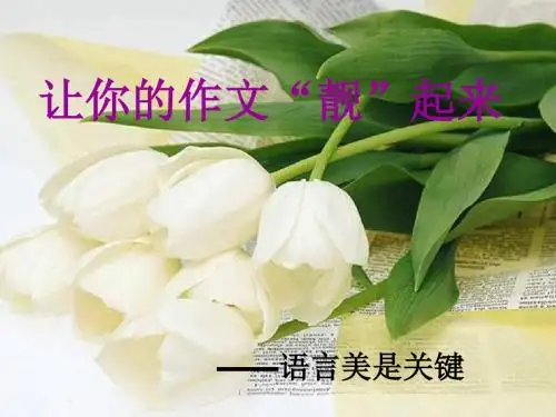 让你的作文“靓”起来——语言美是关键 PPT课件