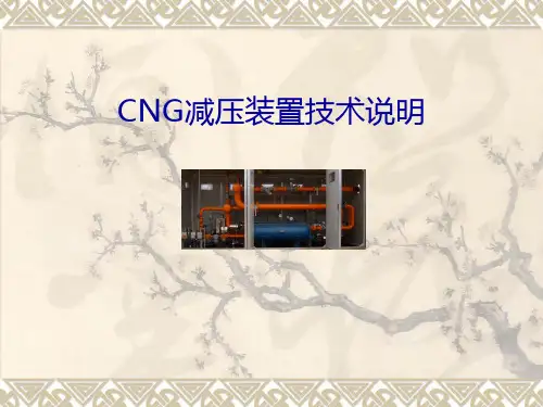 CNG减压装置技术说明