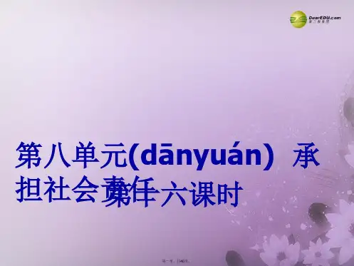 中考思想品德第一轮复习 第十六课时 第八单元 承担社会责任课件