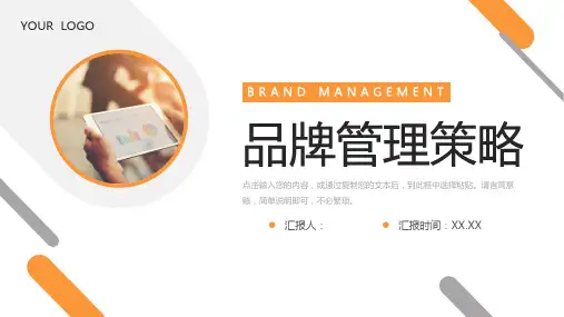 品牌管理策略市场营销分析PPT模板