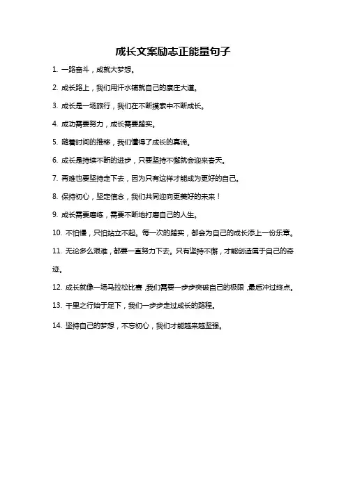 成长文案励志正能量句子