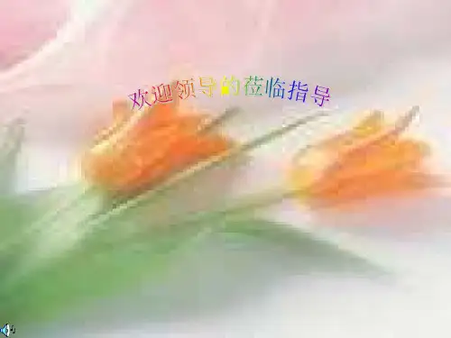 情态动词can的用法课件