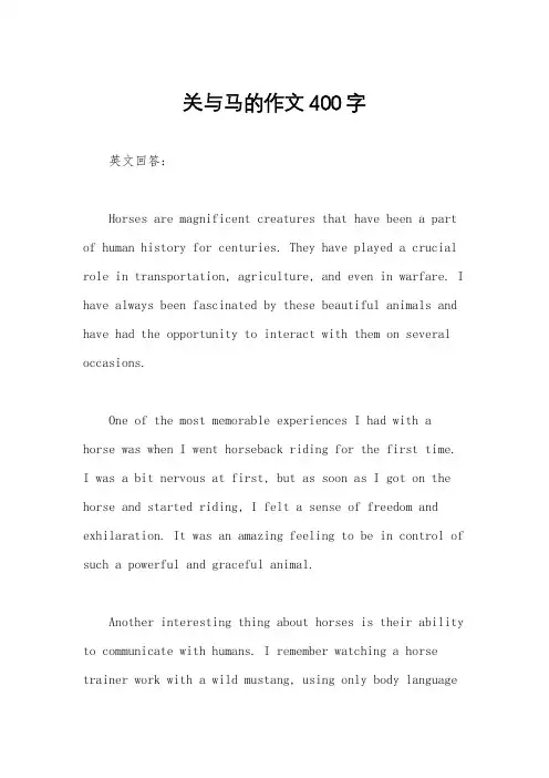 关与马的作文400字