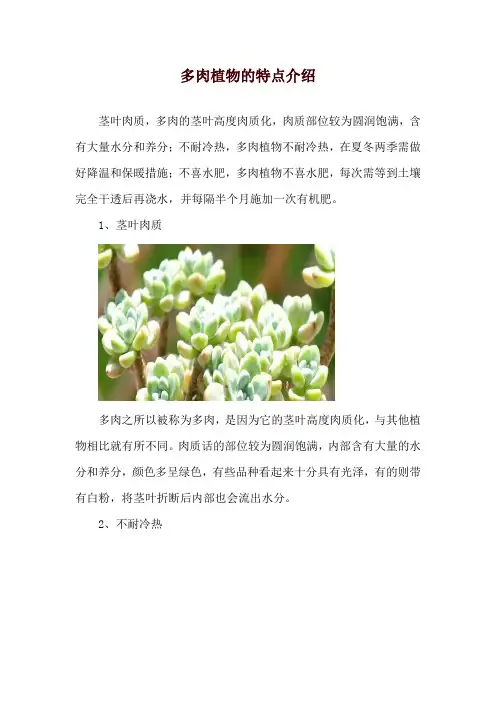 多肉植物的特点介绍