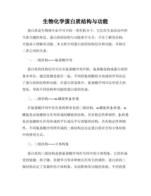 生物化学蛋白质结构与功能