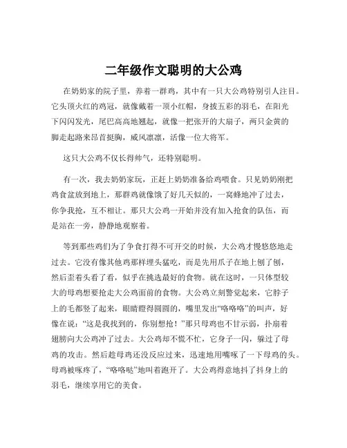 二年级作文聪明的大公鸡