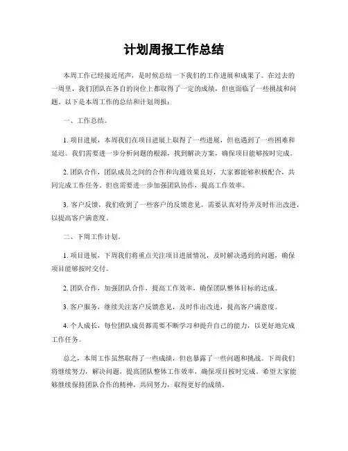 计划周报工作总结