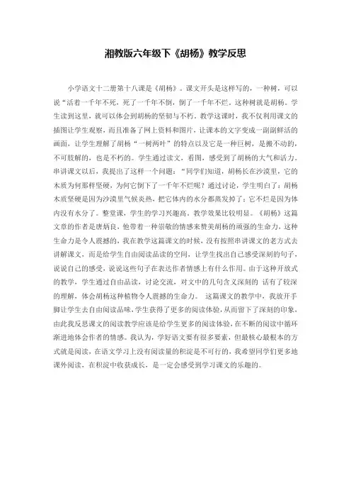 胡杨