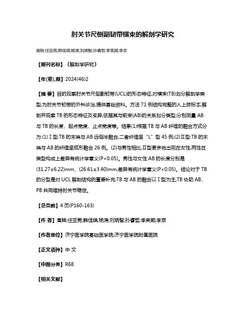 肘关节尺侧副韧带横束的解剖学研究