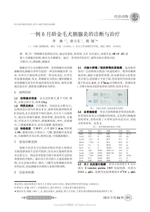 一例6月龄金毛犬胰腺炎的诊断与治疗
