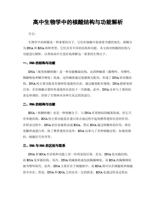 高中生物学中的核酸结构与功能解析
