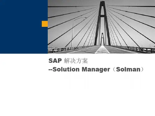 项目培训_negc_solution manager项目管理培训课件.ppt