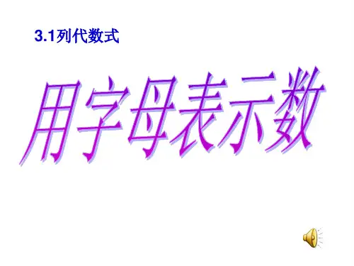 用字母表示数说课ppt