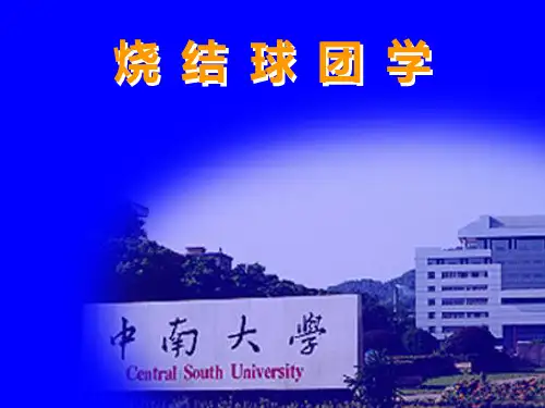 中南大学《烧结球团(第1章)》PPT课件