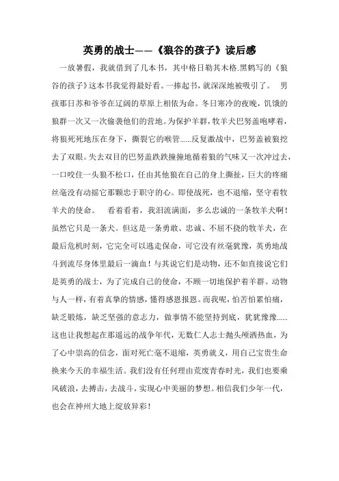 英勇的战士——《狼谷的孩子》读后感